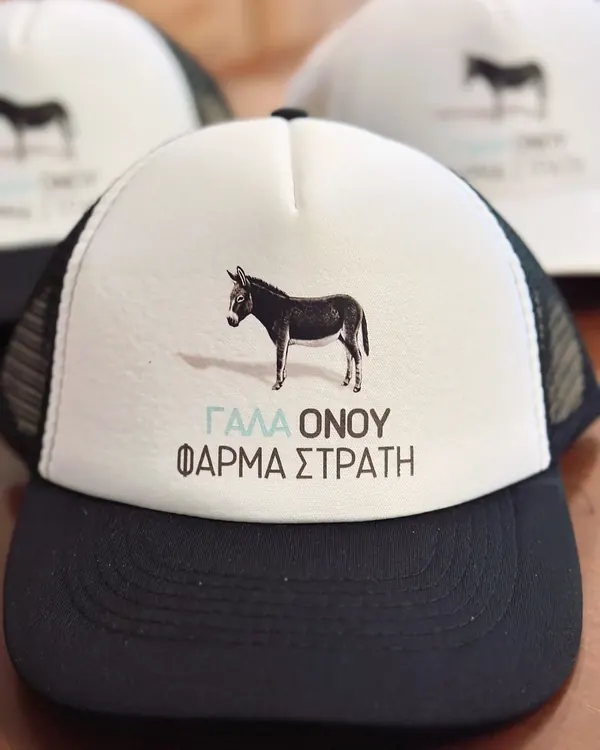 Πολυεστερικό καπέλο με δίχτυ - Πραγματικό δείγμα